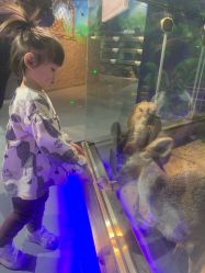 -未来动物城动物主题公园(大悦城店)
