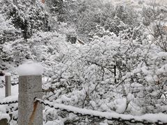 -北京凤凰岭