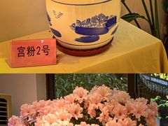 -汇龙潭