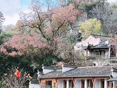 -塔川景区