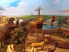 -陕西自然博物馆