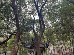 -岳麓山风景名胜区