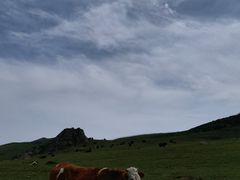 -灵山