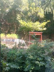 点击看大图 -尚圣月子会所·庄园式月子中心(萧山湘湖店)