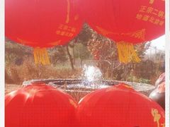 -龙福源密云水库灶台鱼