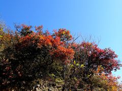 -北京西山国家森林公园