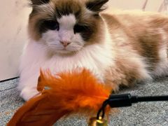 -零纪元VR体验馆·桌游(黄浦店)