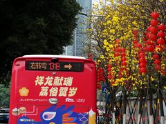 -洲头咀公园