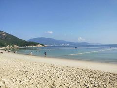 -杨梅坑