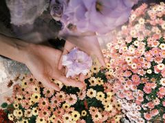 -溪岸路花鸟市场