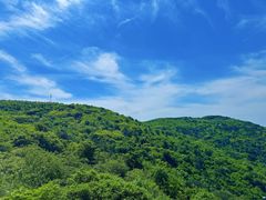 -浮槎山