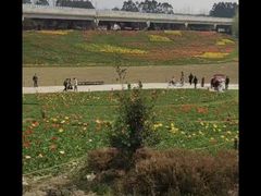 -秀丽东方