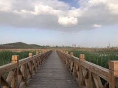 -东湖公园