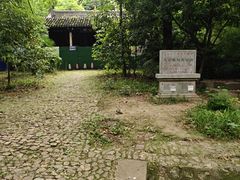 -灵谷景区