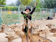 -北京麋鹿生态实验中心
