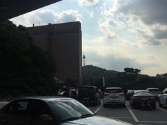 -新罗免税店(首尔总店)