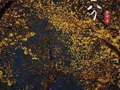 -无锡梅园公园
