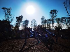 -铁山坪森林公园