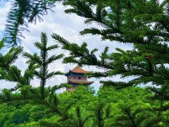 -翠矶山公园