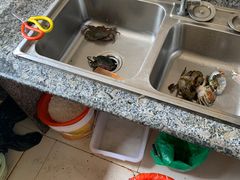 -许村蟹面(海宁许村大道店)