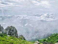 -白草畔自然风景区