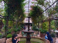 -The Grounds of Alexandria
