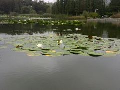 android_upload_pic-云龙湖旅游景区