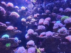 -太平洋海底世界