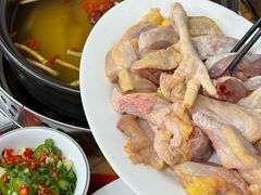 -花苑美食横琴生蚝火锅(拱北粤华路店)