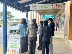 -Dooley's Premium Ice Cream