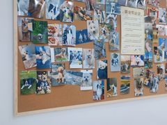 -翊宠yipet猫狗购宠庄园犬舍•猫舍