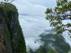 -张家界天门山国家森林公园
