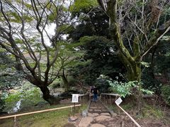 -东京国立博物馆
