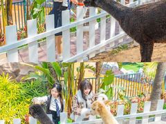 -厦门方特梦幻王国