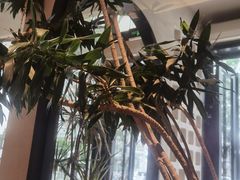 -Jamaicablue Coffeeshop(中央广场店)