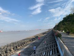 -上海滨江森林公园