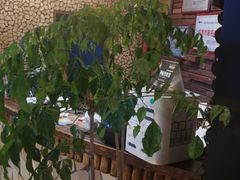 大堂-何师烧烤·香辣蟹·川菜·30年老品牌(太古里旗舰店)