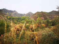 -黄河三峡风景名胜区