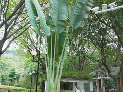 -云溪植物园