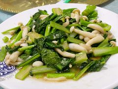 蘑菇小炒-域乐楼清真饭庄(华北路店)