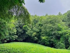 -敬亭山风景名胜区