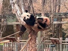 -济南野生动物世界