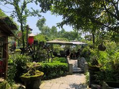 -青城甲(青城山店)