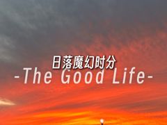 -哈尔滨大剧院