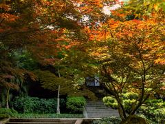 -南山植物园