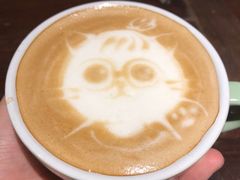 -猫咪博物馆(顶澳仔猫街店)