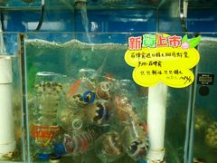 -蚝专家(北滘店)