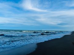 -贝壳沙滩