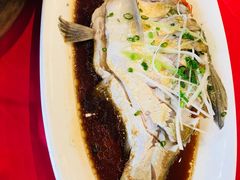 -田园小观园(武大店)