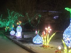 -沈阳奥体冰雪嘉年华